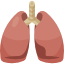 รูปภาพนี้มี Alt แอตทริบิวต์เป็นค่าว่าง ชื่อไฟล์คือ lungs-1.png